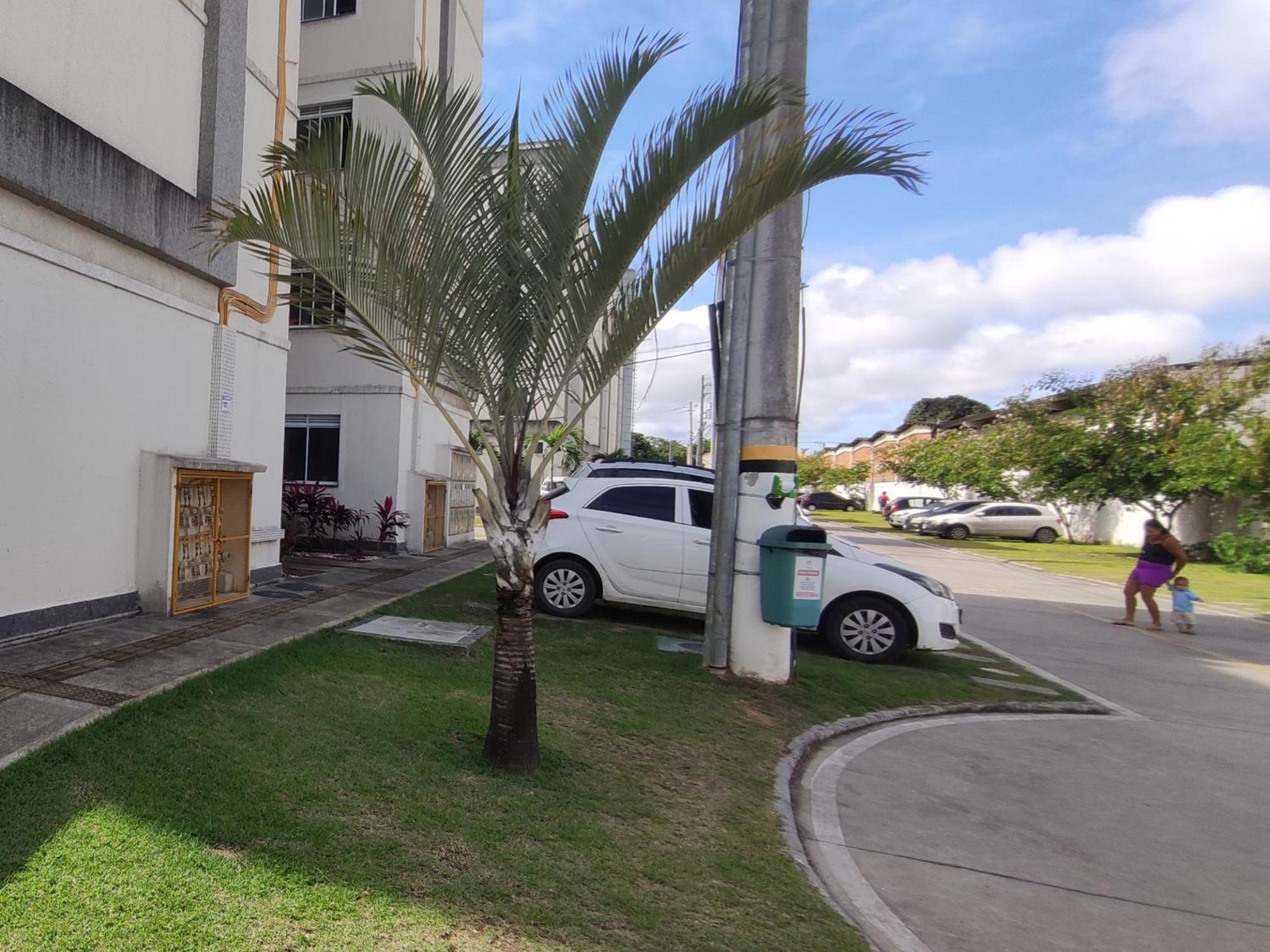 Em Salvador